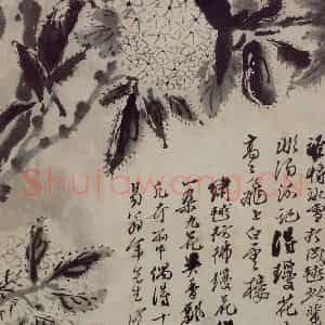 清代 石涛《花卉册》国画花鸟写意作品图片鉴赏