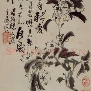 清代 石涛《花卉册》国画花鸟写意作品图片鉴赏