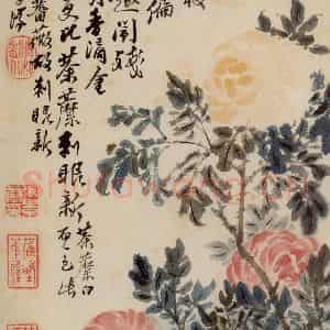 清代 石涛《花卉册》国画花鸟写意作品图片鉴赏