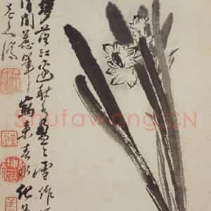 清代 石涛《花卉册》国画花鸟写意作品图片鉴赏