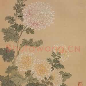 清代 恽寿平《花卉册》国画花鸟工笔作品图片鉴赏