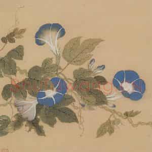 清代 恽寿平《花卉册》国画花鸟工笔作品图片鉴赏