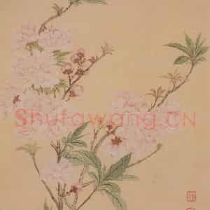 清代 恽寿平《花卉册》国画花鸟工笔作品图片鉴赏