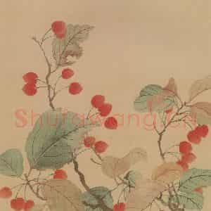 清代 恽寿平《花卉册》国画花鸟工笔作品图片鉴赏