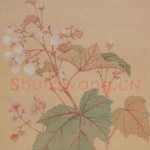 清代 恽寿平《花卉册》国画花鸟工笔作品图片鉴赏