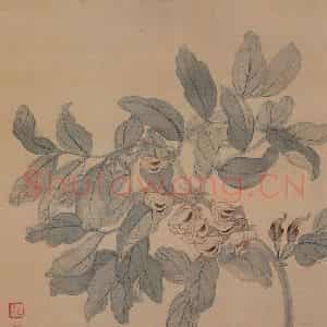 清代 恽寿平《花卉册》国画花鸟工笔作品图片鉴赏