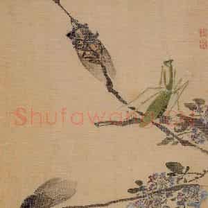 清代 袁耀《花卉册》国画花鸟兼工带写作品图片鉴赏