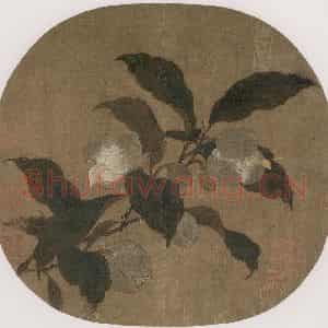 宋代 无款《夜合花图页》国画花鸟工笔作品图片鉴赏