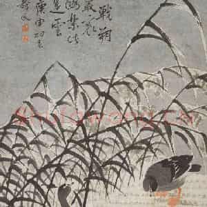 清代 边寿民《芦鹰图轴》国画花鸟写意作品图片鉴赏