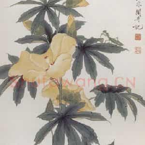 1948年 于非闇《黄葵》国画花鸟工笔作品图片鉴赏