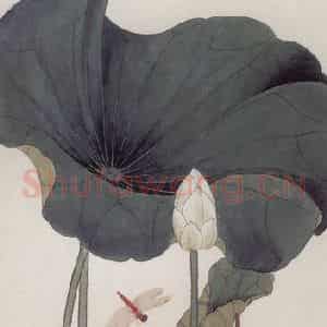 1948年 于非闇《荷花》国画花鸟工笔作品图片鉴赏