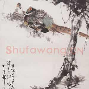 1962年 王雪涛《松雉图》国画花鸟写意作品图片鉴赏