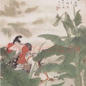 1993年 晏少翔《未展芭蕉》国画人物工笔作品图片鉴赏