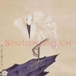 1941年 田世光《鹭鸶》国画花鸟工笔作品图片鉴赏