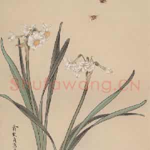 俞致贞《水仙蜜蜂》国画花鸟工笔作品图片鉴赏