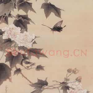 1954年 俞致贞《芙蓉蛱蝶》国画花鸟工笔作品图片鉴赏