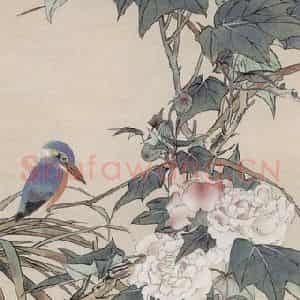 张其翼《芙蓉翠鸟》国画花鸟工笔作品图片鉴赏
