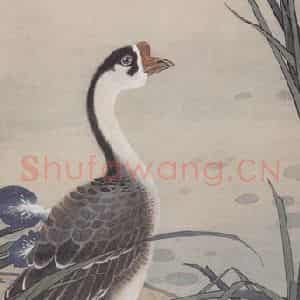 张其翼《双鹅图》国画花鸟工笔作品图片鉴赏