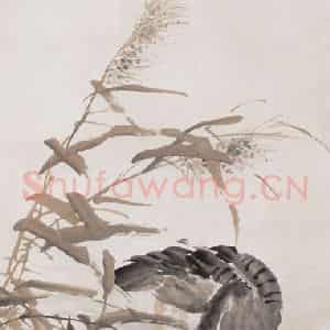 不详 胡璋《秋水芦雁》国画花鸟作品图片鉴赏