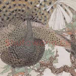 1881年 任预《花鸟四条屏》国画花鸟作品图片鉴赏