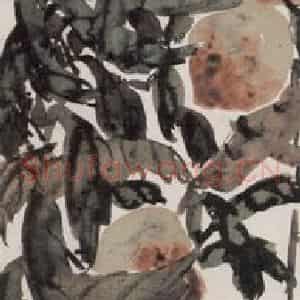 不详 陈师曾《花卉四条屏》国画花鸟作品图片鉴赏