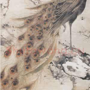高奇峰《孔雀》国画花鸟作品图片鉴赏