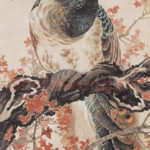 1947年 何漆园《丹林翠羽图》国画花鸟作品图片鉴赏