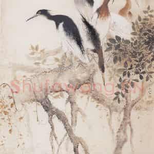 1961年 方人定《群鹭》国画花鸟作品图片鉴赏
