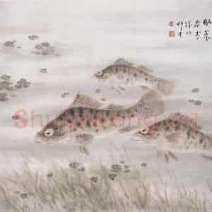 1962年 苏卧农《鳜鱼》国画花鸟作品图片鉴赏