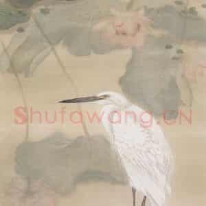 1961年 苏卧农《莲影白鹭》国画花鸟作品图片鉴赏