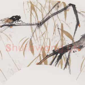 1981年 黄志坚《柳蝉图》国画花鸟作品图片鉴赏
