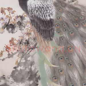 1954年 赵少昂《桐花孔雀》国画花鸟作品图片鉴赏