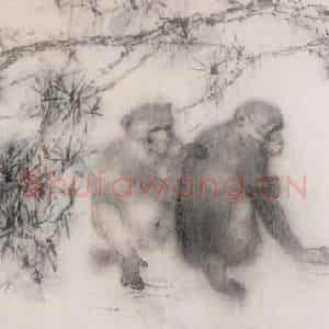 杨善深《双猴》国画花鸟作品图片鉴赏
