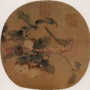 宋代 夫名《苹婆山鸟图》国画花鸟作品图片鉴赏
