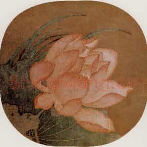 宋代 夫名《荷花图》国画花鸟作品图片鉴赏