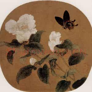 宋代 夫名《茶花蝴蝶图》国画花鸟作品图片鉴赏