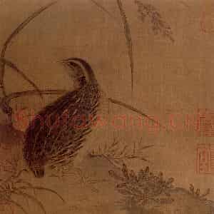 宋代 夫名《鹌鹁图》国画花鸟作品图片鉴赏