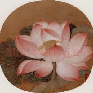 宋代 夫名《出水芙蓉图》国画花鸟作品图片鉴赏