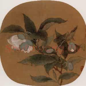 宋代 夫名《夜合花图》国画花鸟作品图片鉴赏