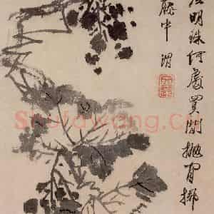 徐渭《花卉人物图册》国画花鸟作品图片鉴赏