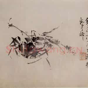 徐渭《墨花图册》国画花鸟作品图片鉴赏