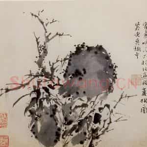 徐渭《墨花图册》国画花鸟作品图片鉴赏