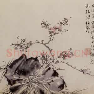 徐渭《墨花图册》国画花鸟作品图片鉴赏