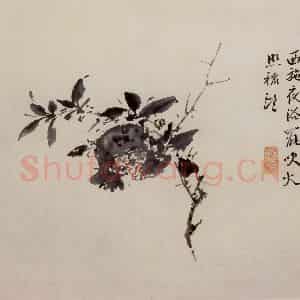 徐渭《墨花图册》国画花鸟作品图片鉴赏