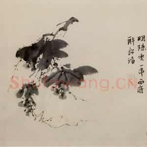 徐渭《墨花图册》国画花鸟作品图片鉴赏