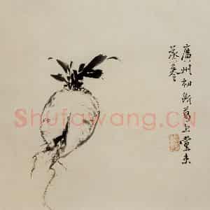 徐渭《墨花图册》国画花鸟作品图片鉴赏