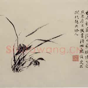 徐渭《墨花图册》国画花鸟作品图片鉴赏