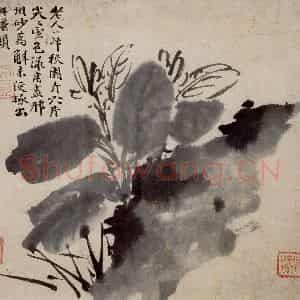 徐渭《花卉人物卷》国画花鸟人物作品图片鉴赏