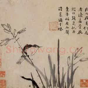 徐渭《花卉人物卷》国画花鸟人物作品图片鉴赏
