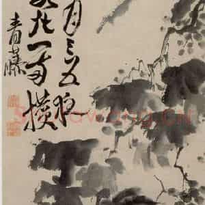 徐渭《墨葡萄图》国画花鸟作品图片鉴赏